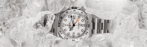 espositore rolex con orso polare|rolex explorer polar watch.